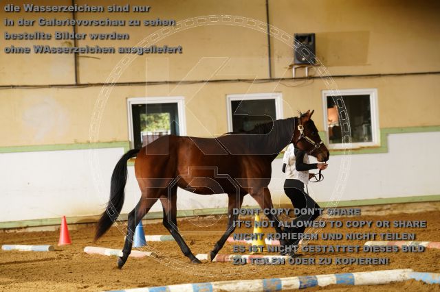 s_K3F08090.JPG